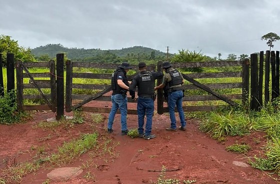 WhatsApp Image 2026-02-04 at 07.34.26.jpeg