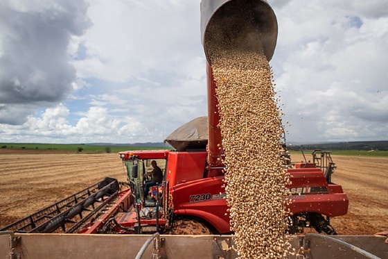 Captura de tela 2026-02-05 085152.png