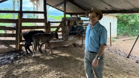 Foto: Assessoria Seaf