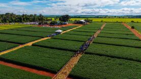 Foto: Taiguara Luciano