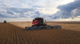 Foto: Taiguara Luciano