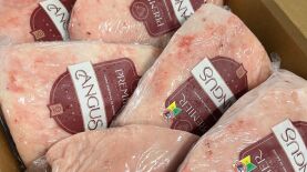 Foto: Caroline Bueno