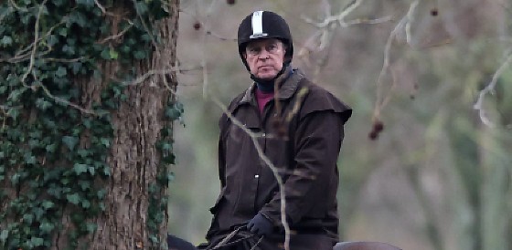 Captura de tela 2026-02-20 093755.png