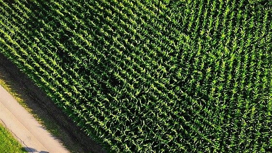 67a2945755fc4e23a707ef680dc05b69_858x483 (1).jpg