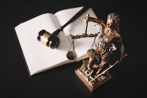 WhatsApp Image 2026-02-20 at 17_58_13.jpeg