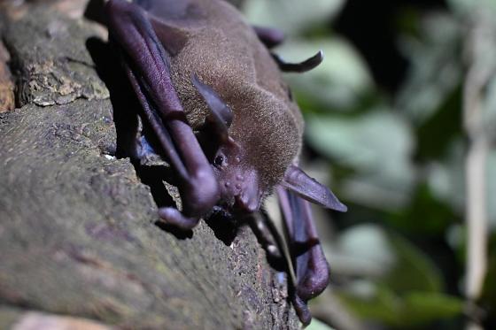 WhatsApp Image 2026-02-24 at 16.58.07.jpeg