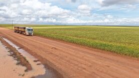 Foto: Taiguara Luciano