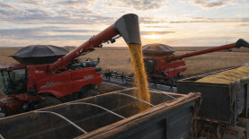 Taiguara / Aprosoja MT