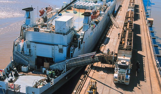 Captura de tela 2026-03-06 084417.png