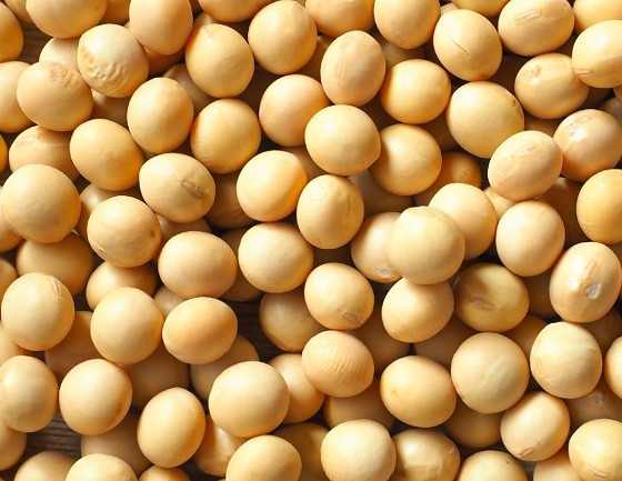 Captura de tela 2026-03-13 093231.png