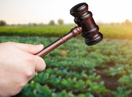 Captura de tela 2026-03-13 092654.png