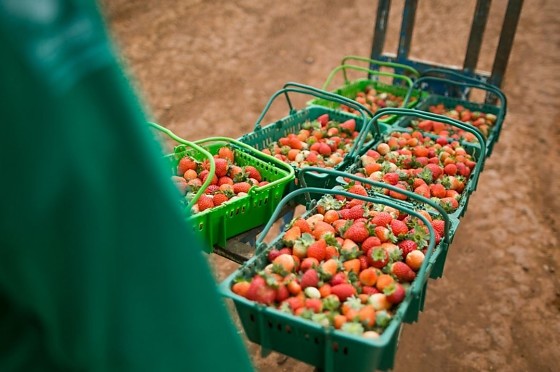 Captura de tela 2026-03-13 092942.png