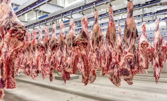 carne-china-habilitacao-frigorificos.webp