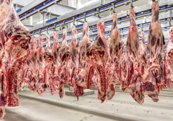 carne-china-habilitacao-frigorificos.webp