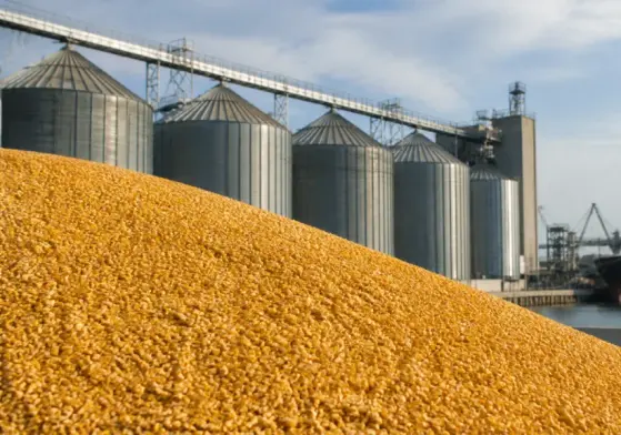 vendas-semanais-de-milho-dos-eua-somam-1-05-milhao-de-toneladas-informa-usda-1024x576.webp