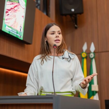 Michelly Alencar cobra reforço na proteção a mulheres após feminicídio na Chapada