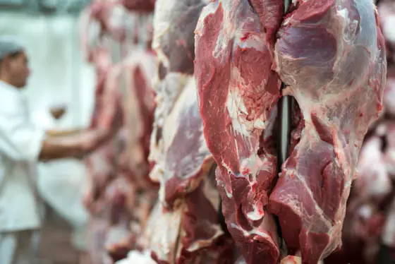 carne-vermelha-fresca-e-trabalhador-de-acougue-trabalhando-em-segundo-plano-1024x683.webp