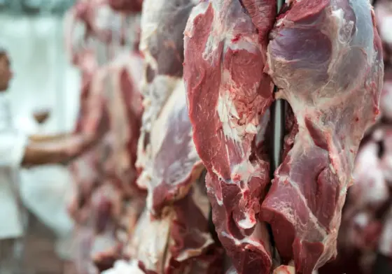 carne-vermelha-fresca-e-trabalhador-de-acougue-trabalhando-em-segundo-plano-1024x683.webp