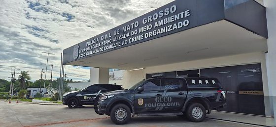 GCCO Draco.jpeg